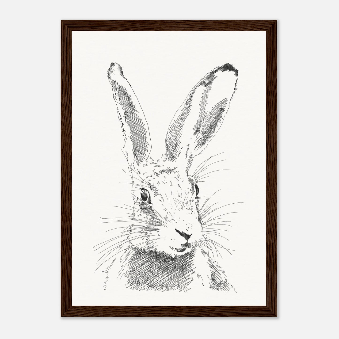 A black and white line drawing sketch or a hare's torso with upright alert ears by edward lodge