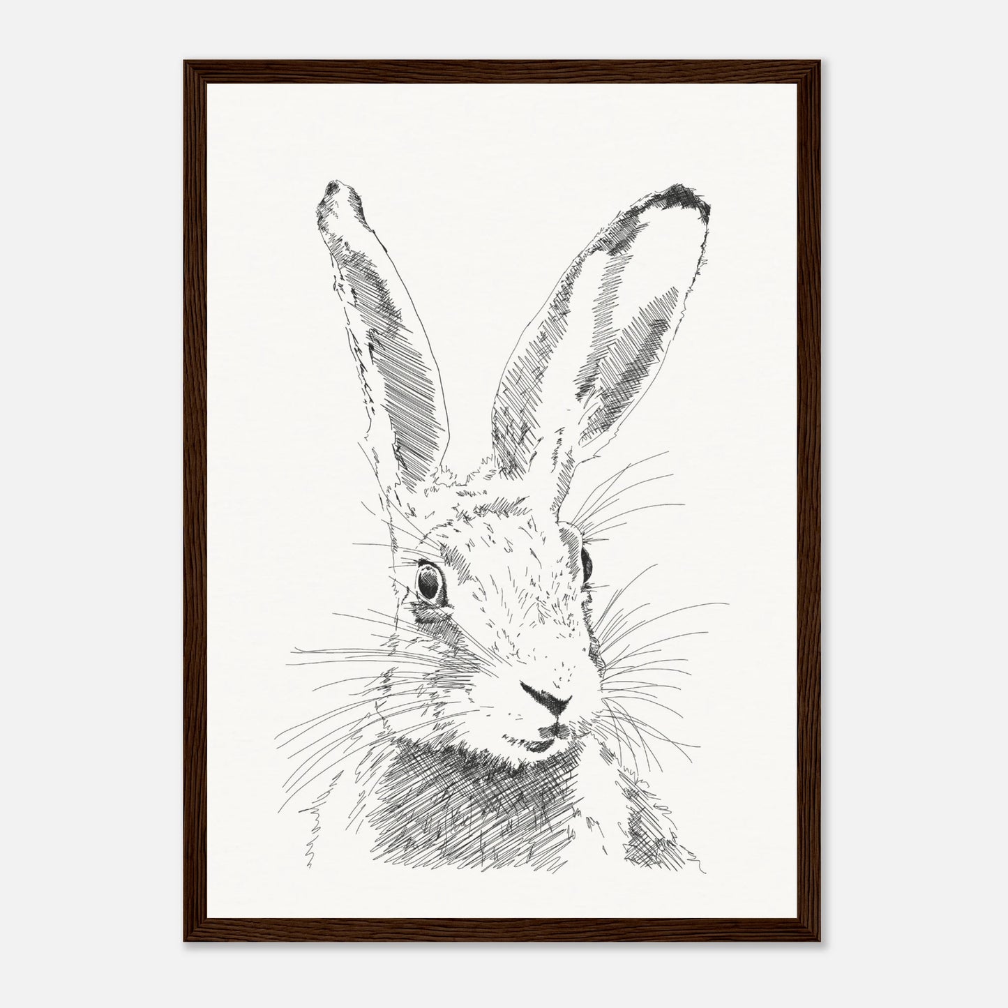 A black and white line drawing sketch or a hare's torso with upright alert ears by edward lodge
