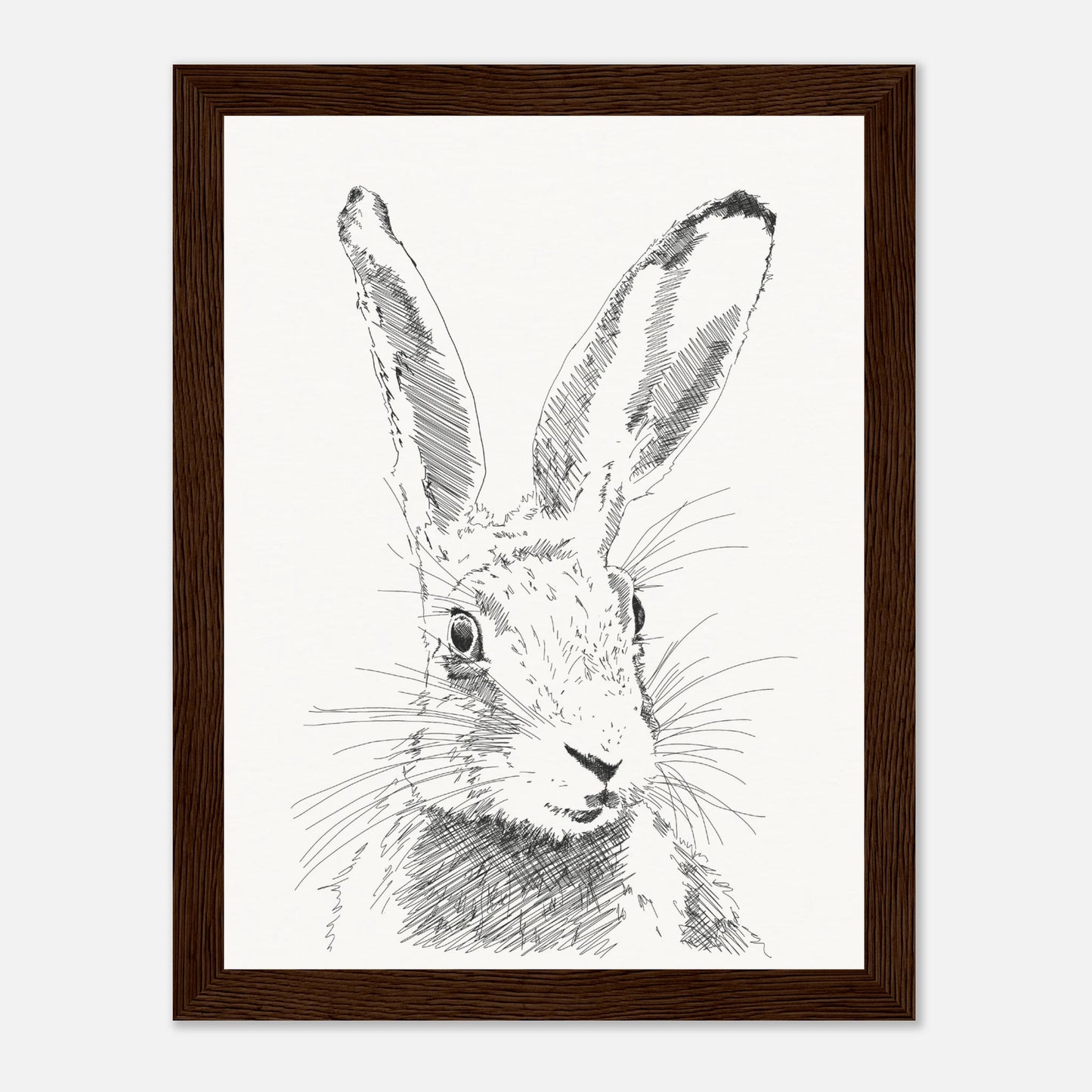 A black and white line drawing sketch or a hare's torso with upright alert ears by edward lodge