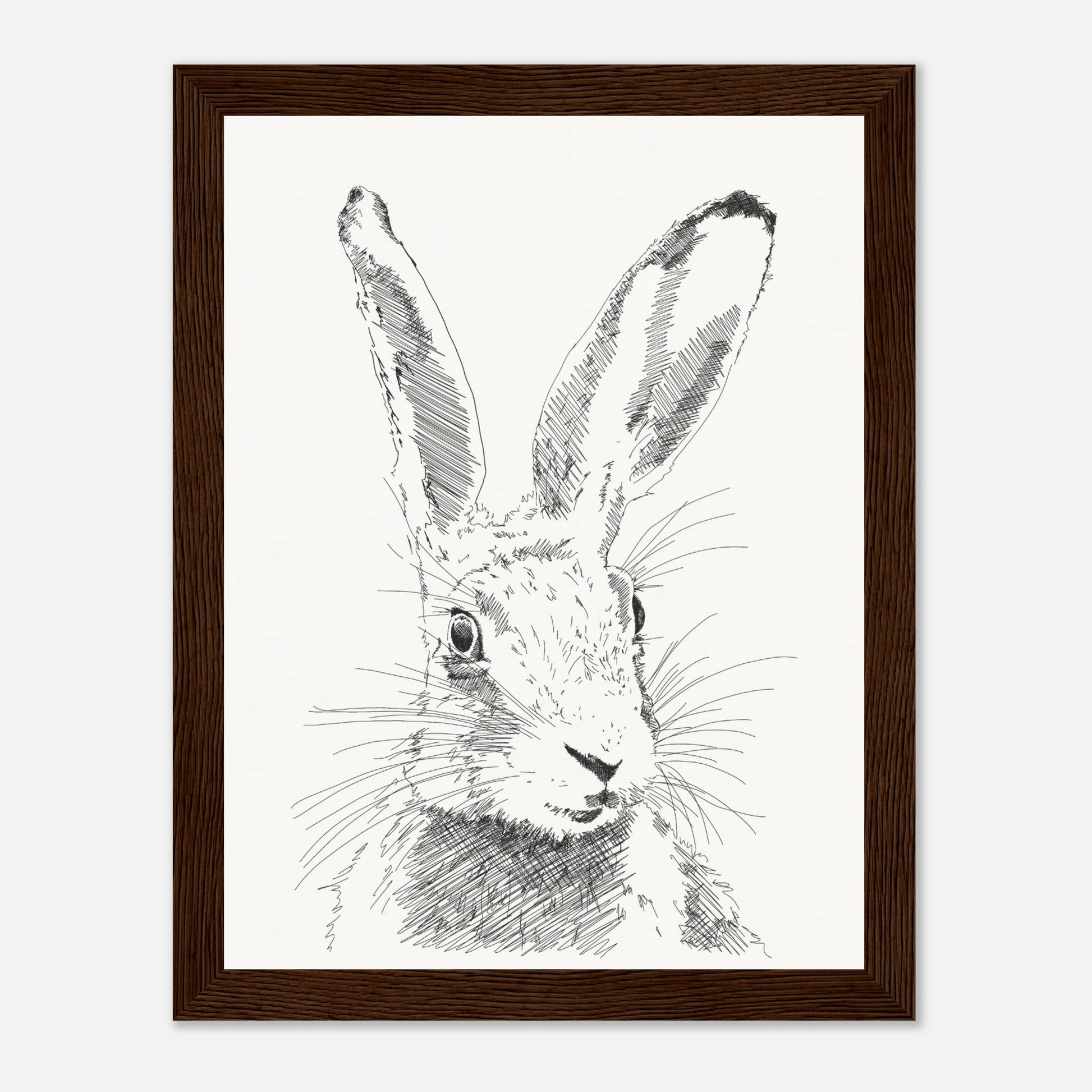 A black and white line drawing sketch or a hare's torso with upright alert ears by edward lodge