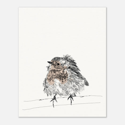 printed line black and white drawing of a robin with puffed out messy feathers perched on a branch. the breast is highlighted in a gentle red