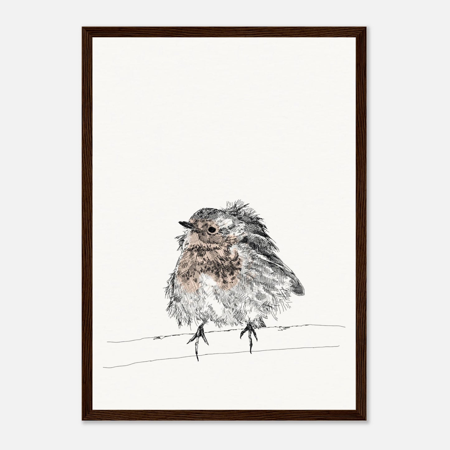 printed line black and white drawing of a robin with puffed out messy feathers perched on a branch. the breast is highlighted in a gentle red