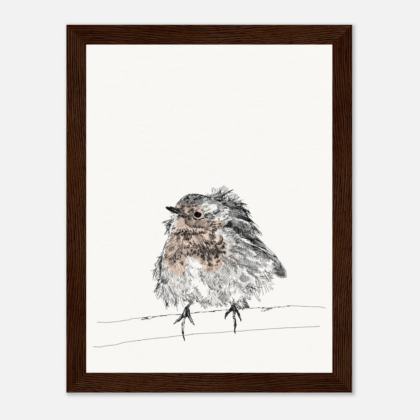 printed line black and white drawing of a robin with puffed out messy feathers perched on a branch. the breast is highlighted in a gentle red