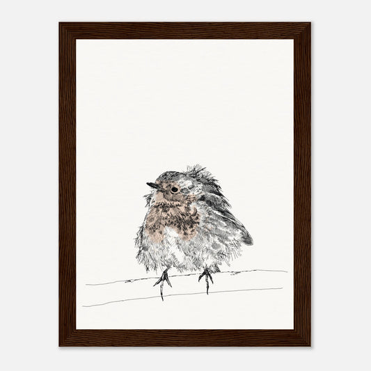 printed line black and white drawing of a robin with puffed out messy feathers perched on a branch. the breast is highlighted in a gentle red