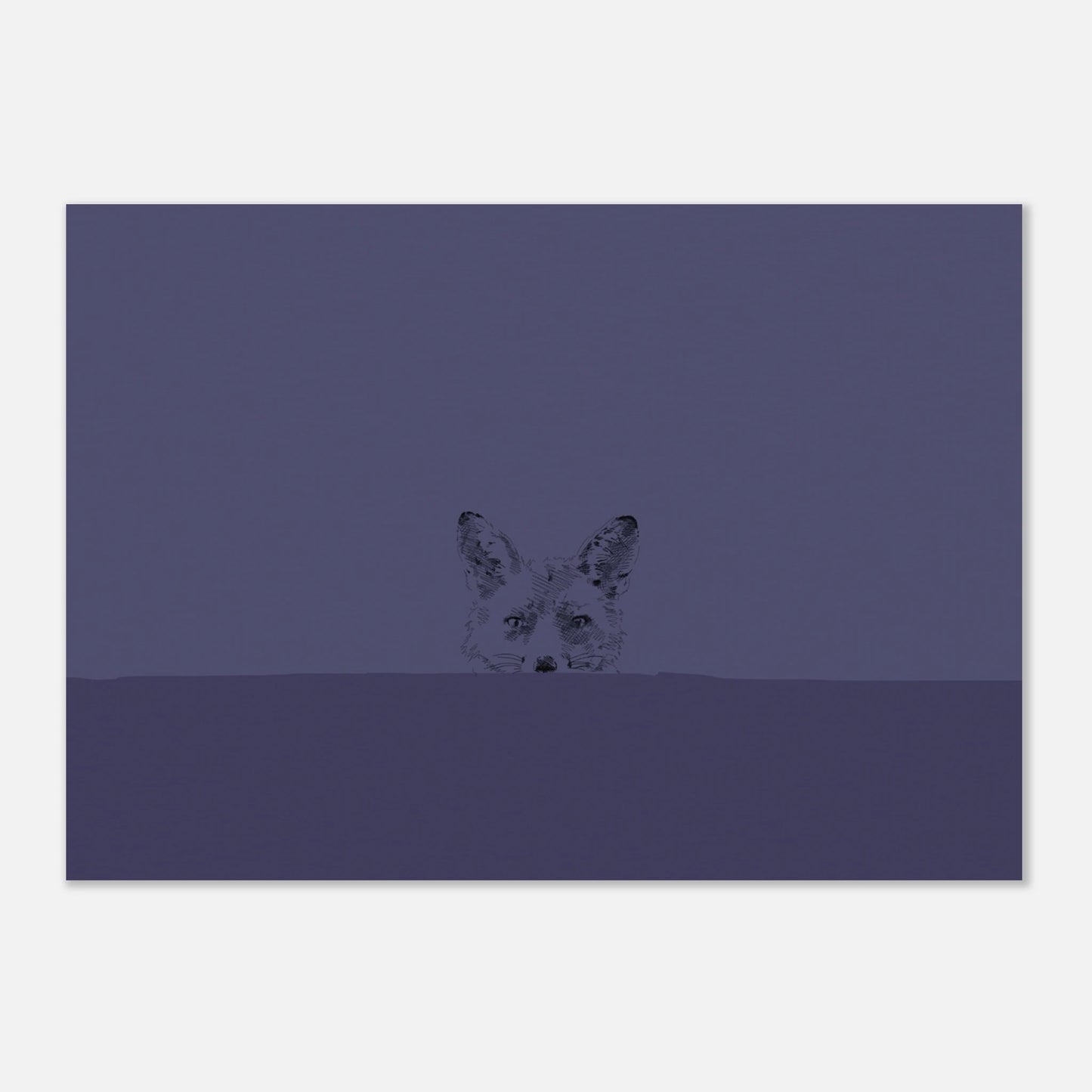 simple line drawing of a fox's face looking over a wall straight at you on a deep blue background