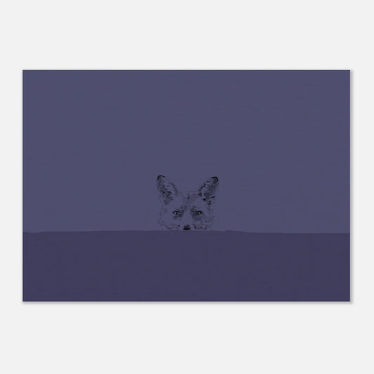 simple line drawing of a fox's face looking over a wall straight at you on a deep blue background