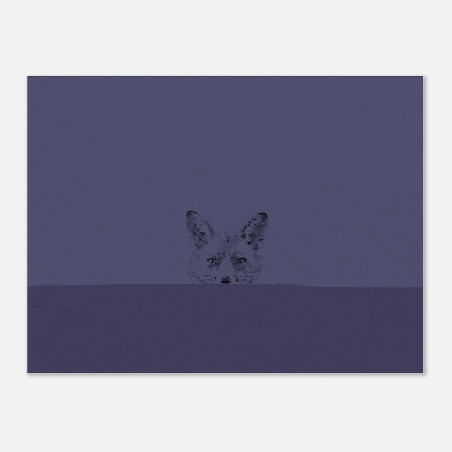 simple line drawing of a fox's face looking over a wall straight at you on a deep blue background