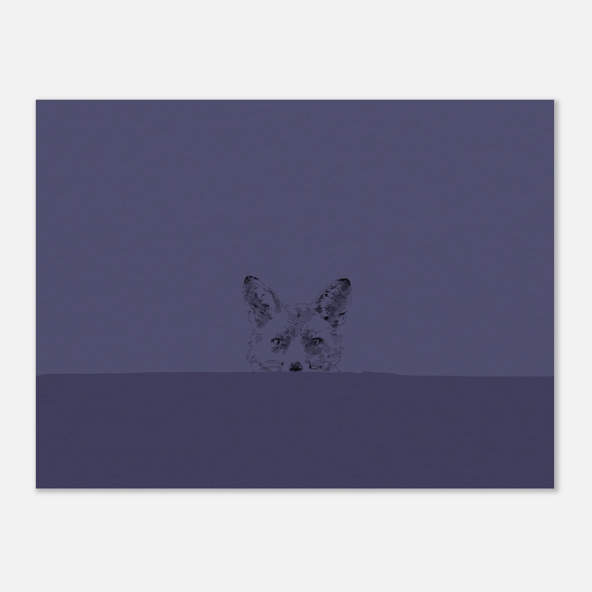 simple line drawing of a fox's face looking over a wall straight at you on a deep blue background