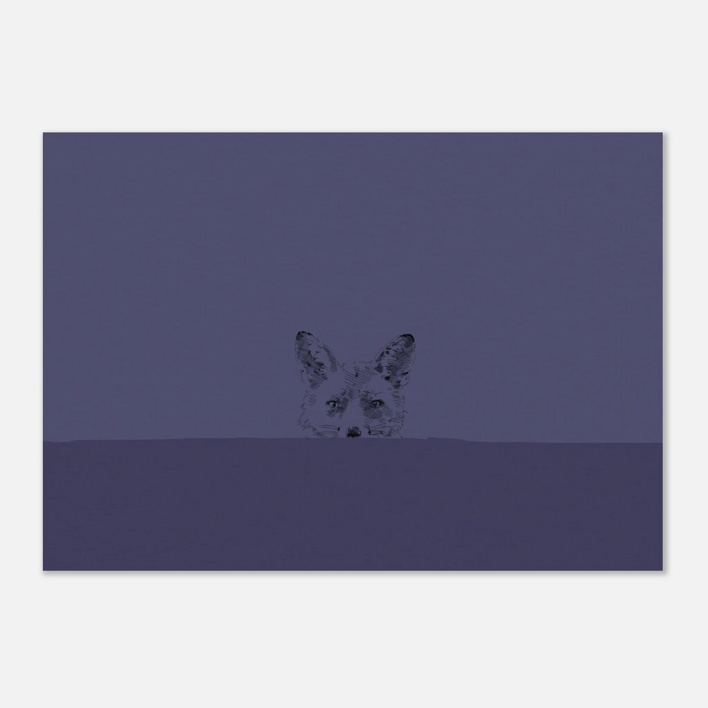 simple line drawing of a fox's face looking over a wall straight at you on a deep blue background
