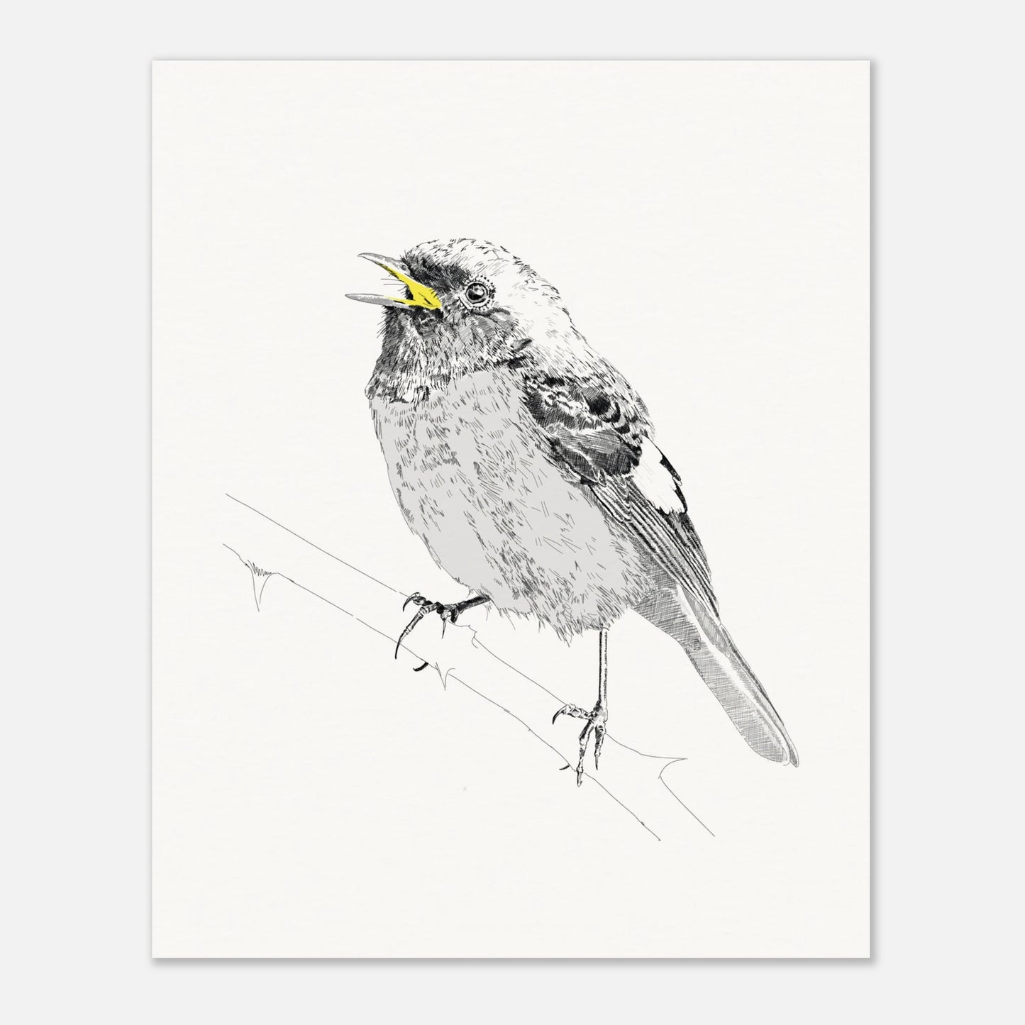 A black and white line drawing of redstart bird perched on a twig with the beak highlighted in yellow by edward lodge