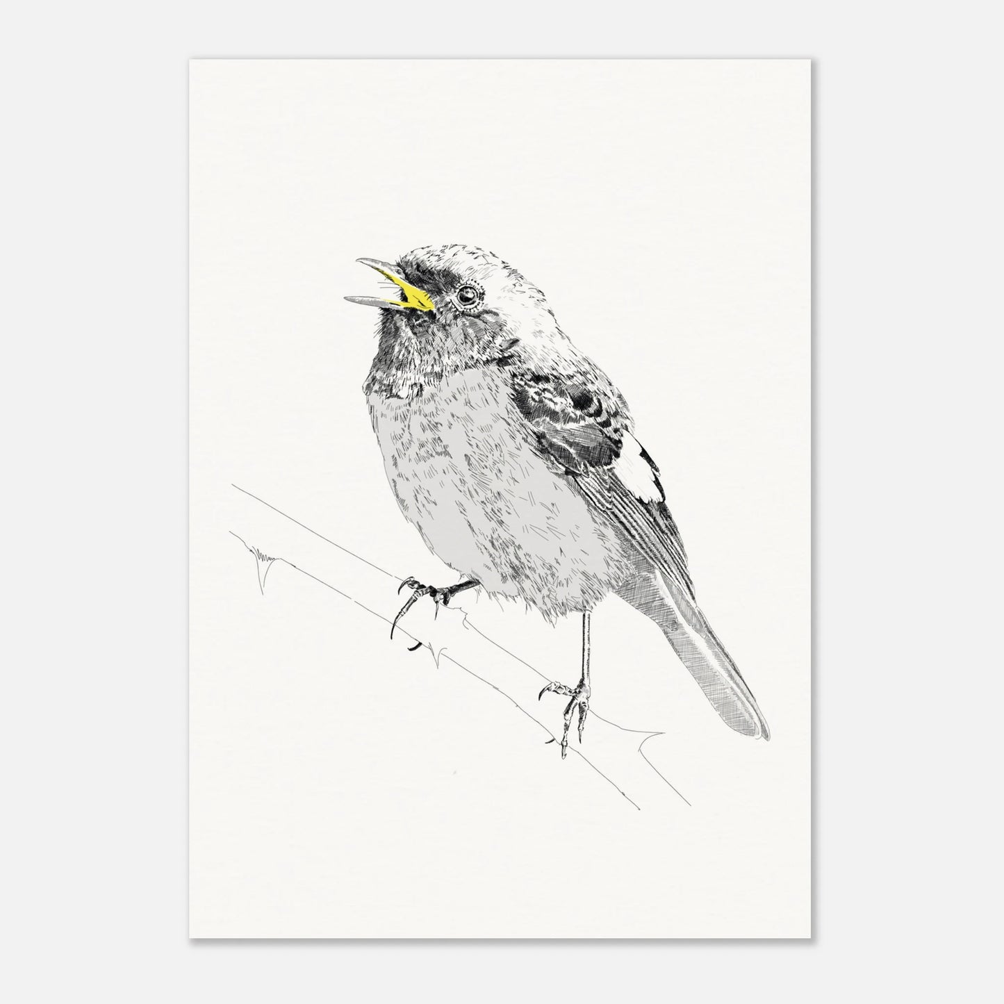 A black and white line drawing of redstart bird perched on a twig with the beak highlighted in yellow by edward lodge
