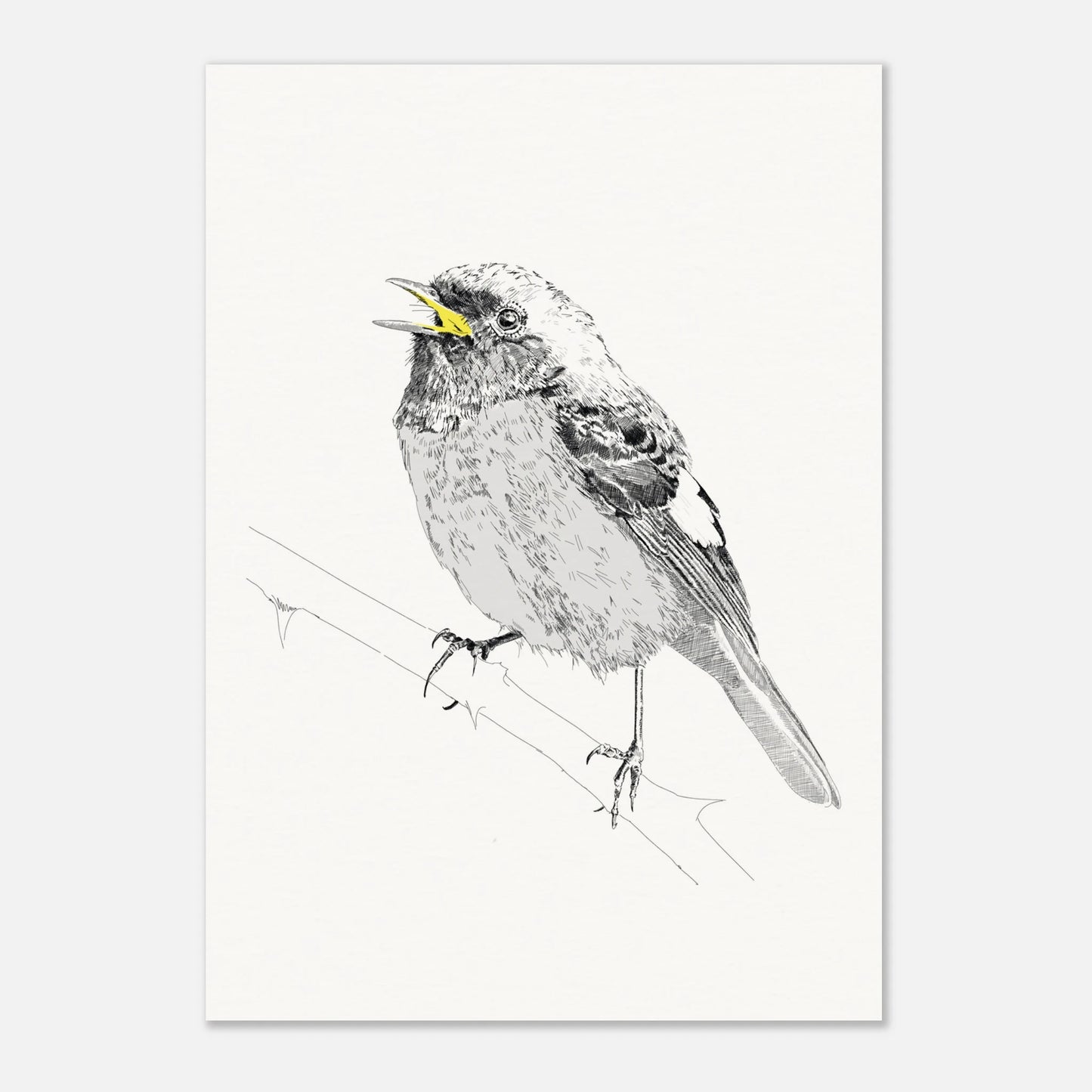 A black and white line drawing of redstart bird perched on a twig with the beak highlighted in yellow by edward lodge