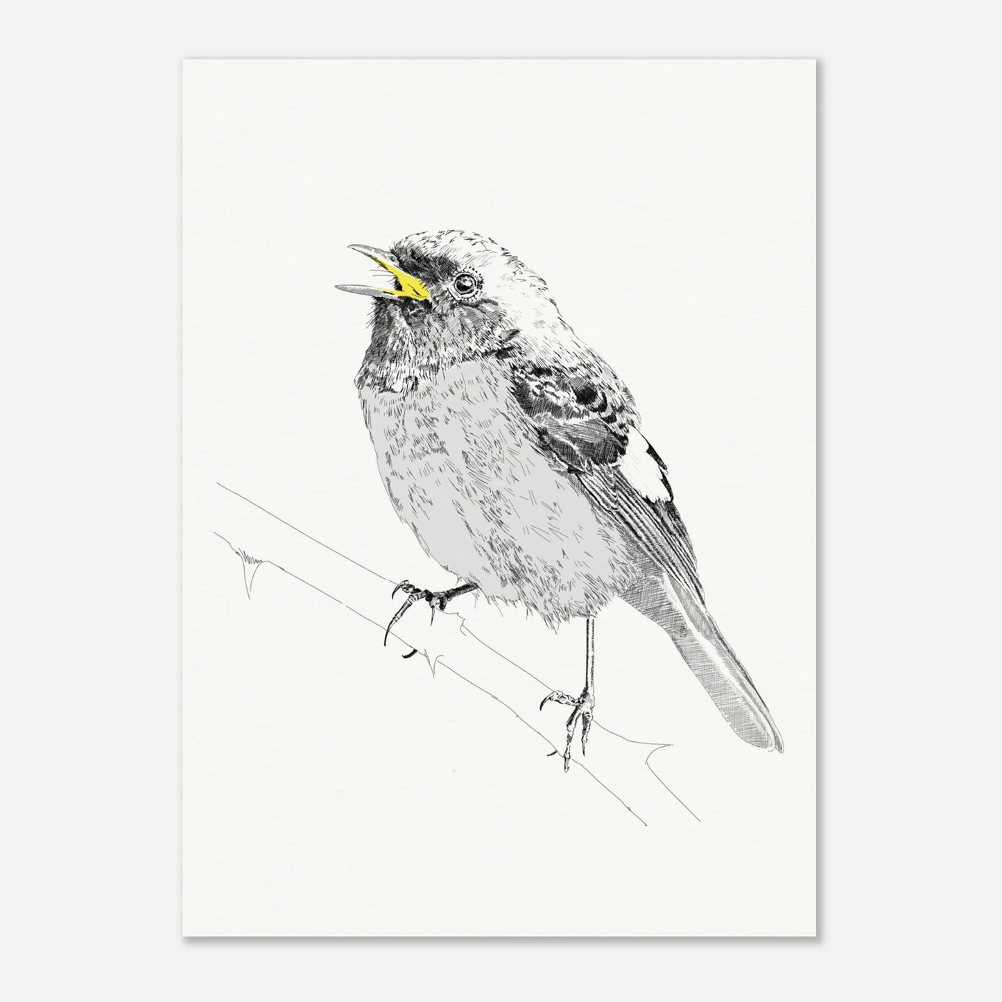 A black and white line drawing of redstart bird perched on a twig with the beak highlighted in yellow by edward lodge