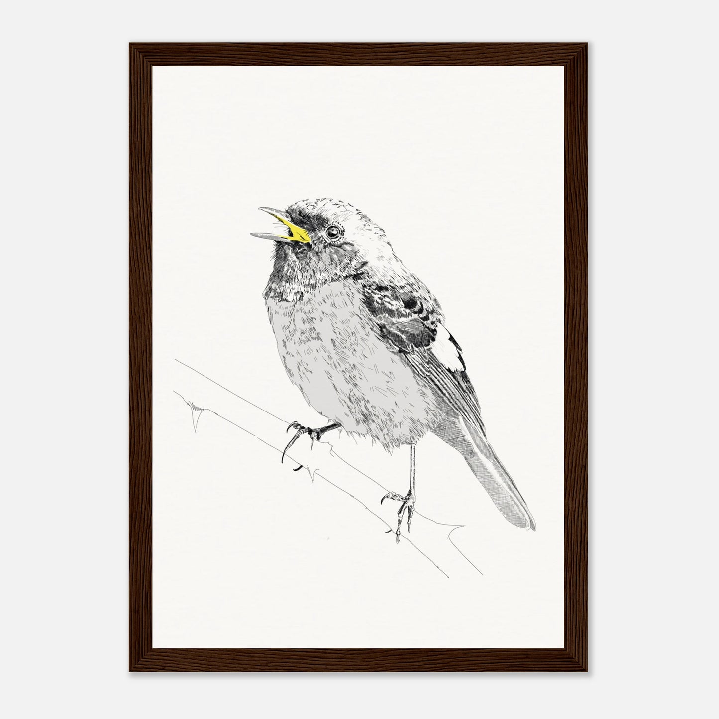 A black and white line drawing of redstart bird perched on a twig with the beak highlighted in yellow in a black frame by edward lodge