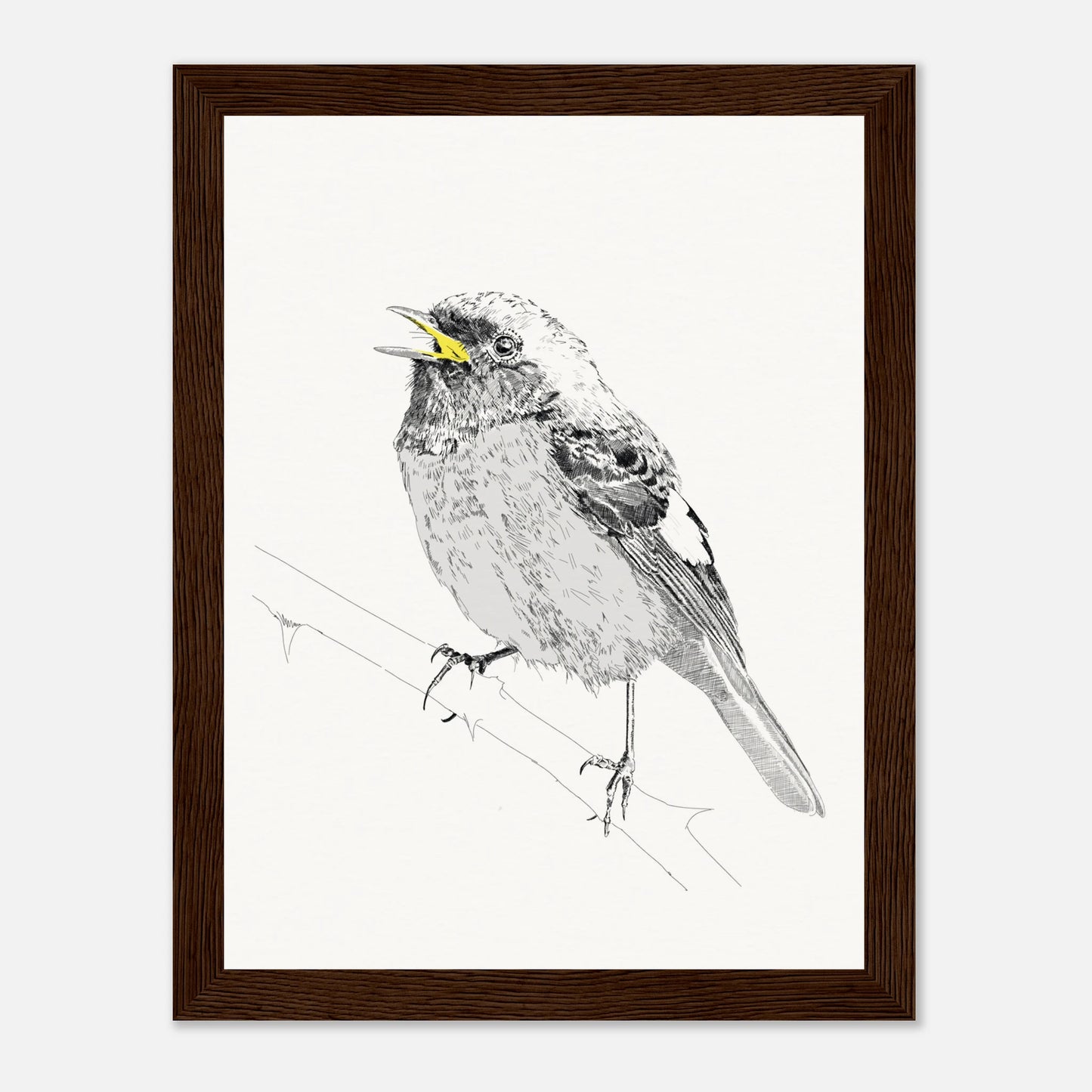 A black and white line drawing of redstart bird perched on a twig with the beak highlighted in yellow in a black frame by edward lodge