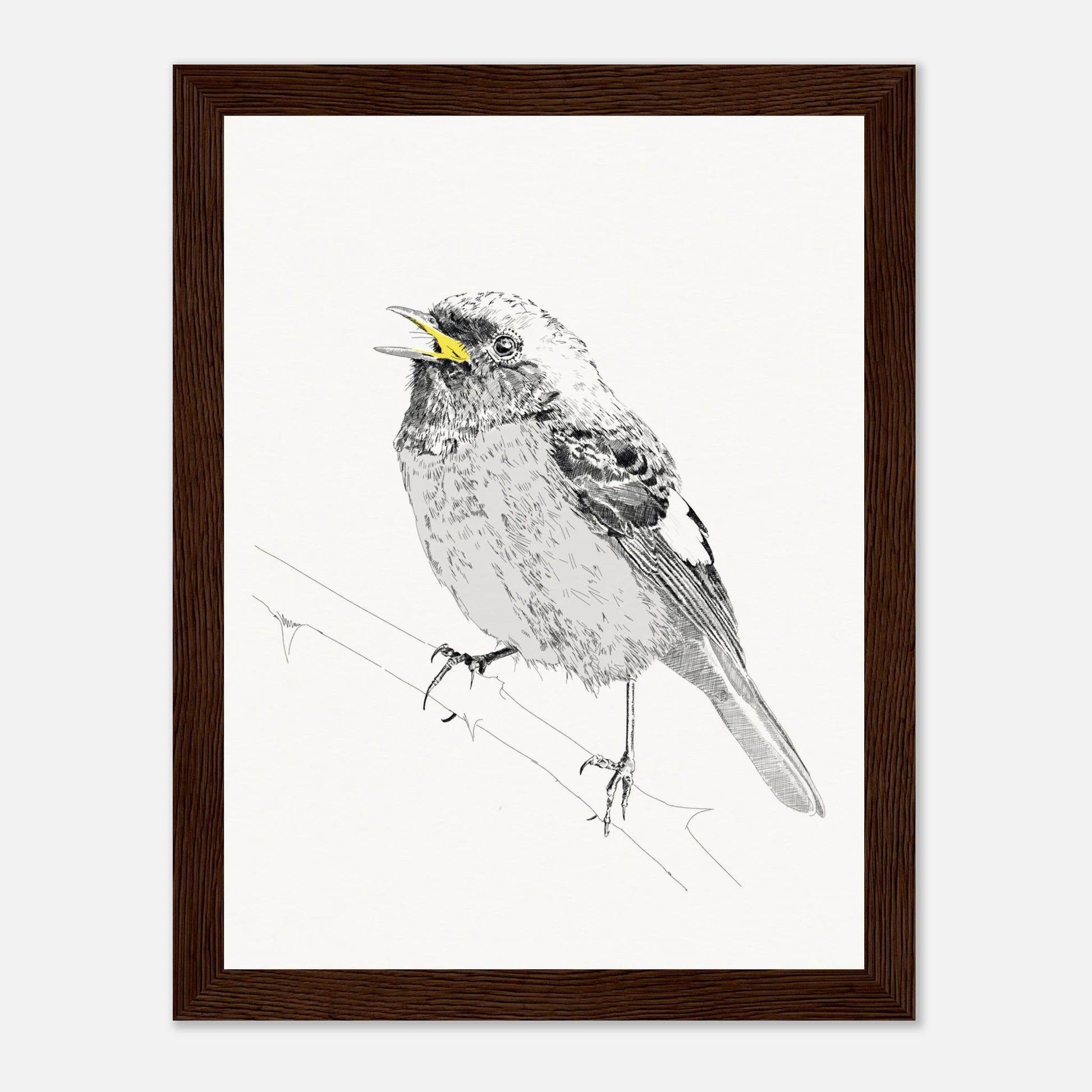 A black and white line drawing of redstart bird perched on a twig with the beak highlighted in yellow in a black frame by edward lodge