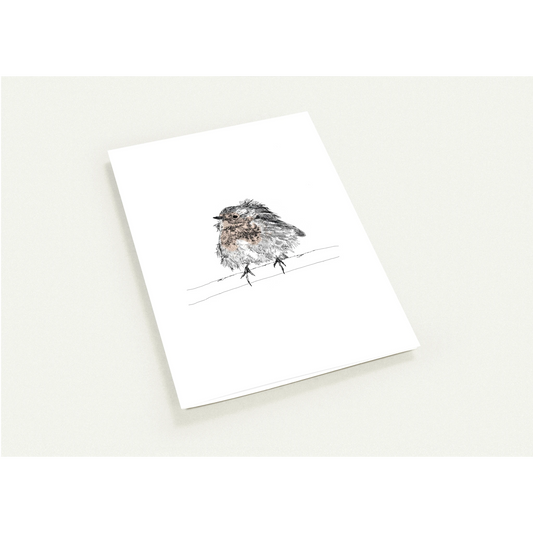 fluffed up robin line drawing by edward lodge printed on a gift card 