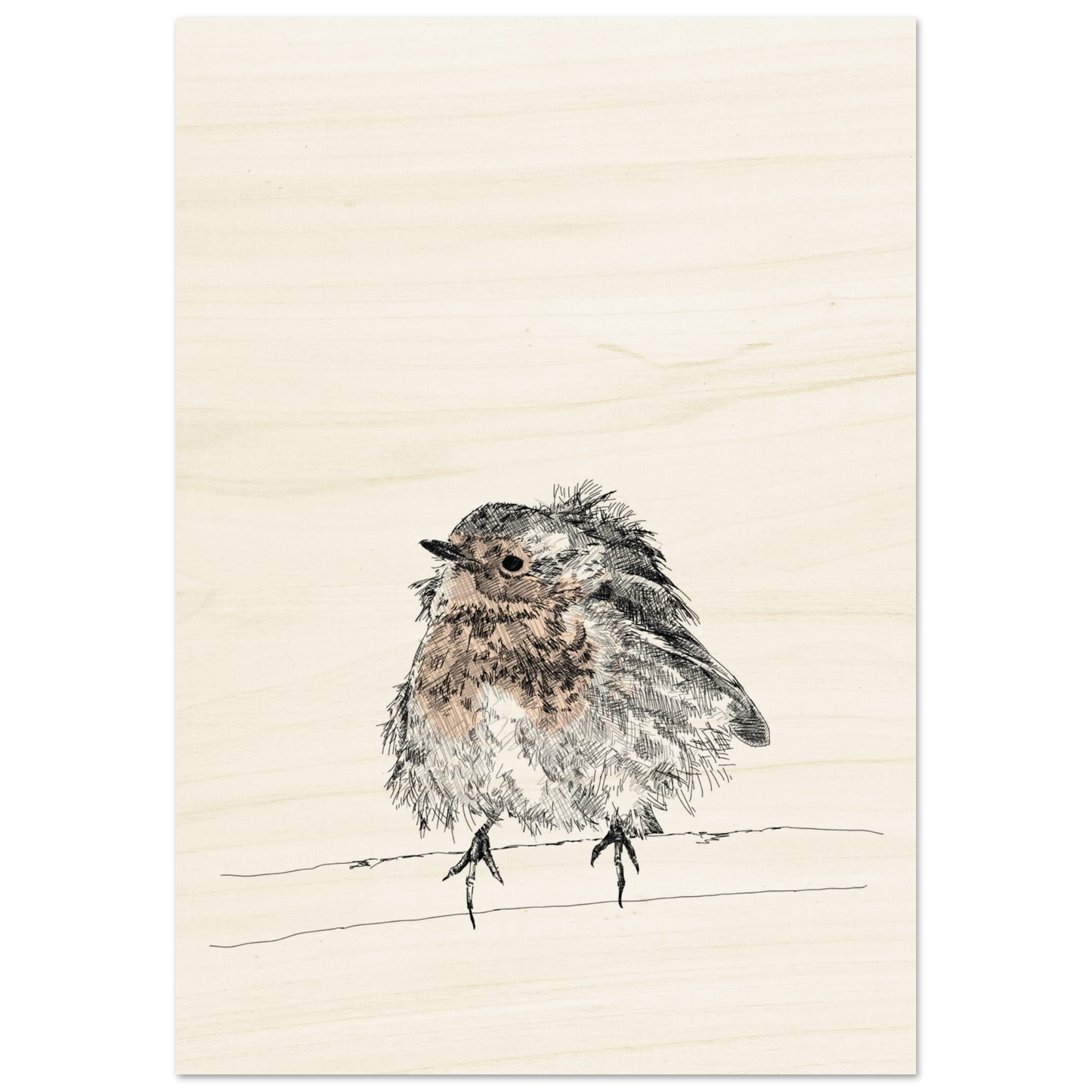 black and white line drawing of a robin with puffed out messy feathers perched on a branch. the breast is highlighted in a gentle red. printed on pale wood