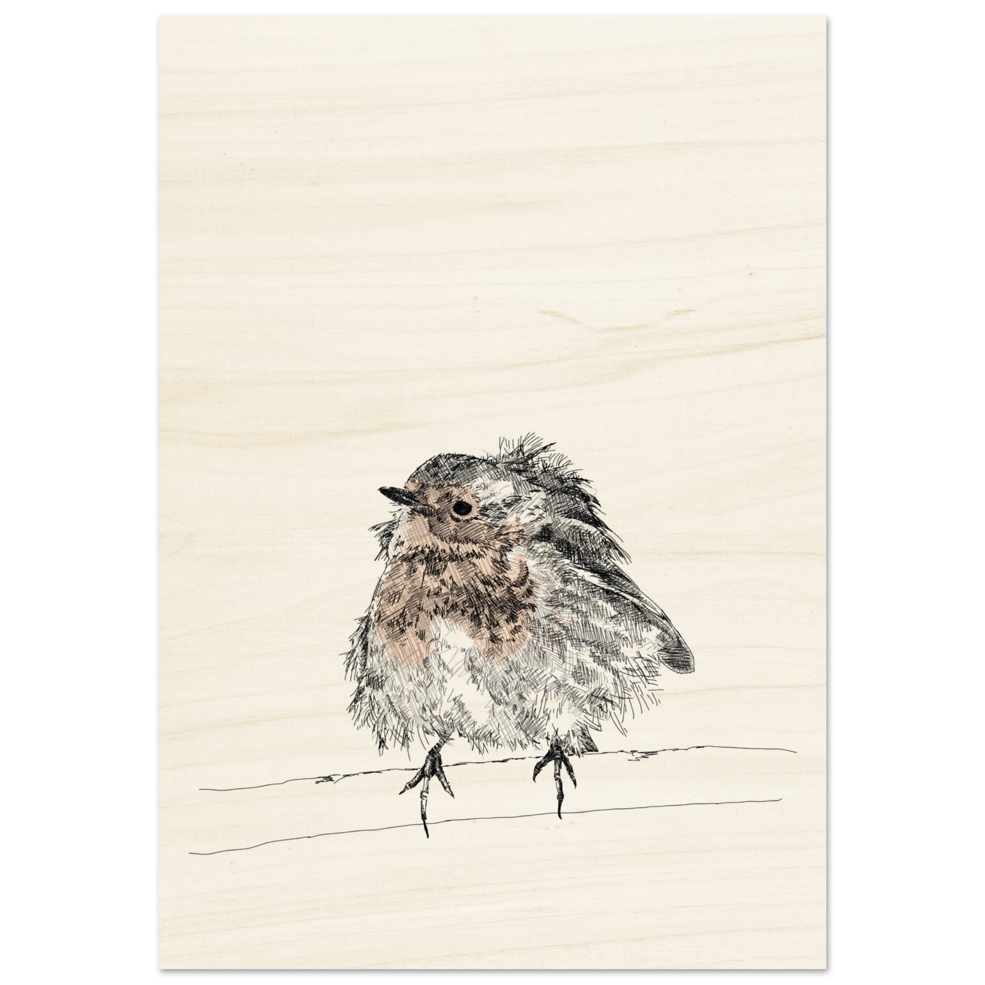 black and white line drawing of a robin with puffed out messy feathers perched on a branch. the breast is highlighted in a gentle red. printed on pale wood