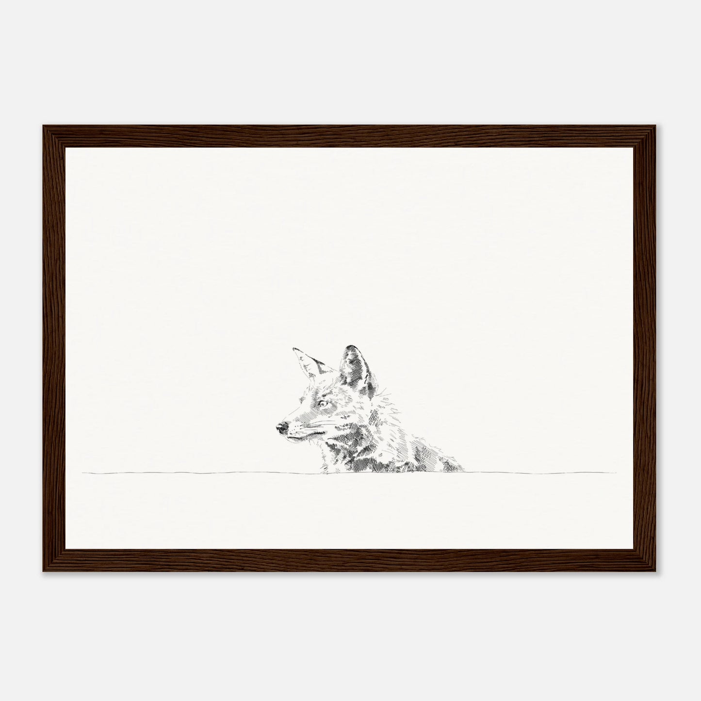 print of a black and white line drawing of a fox's torso looking to the left from behind a wall