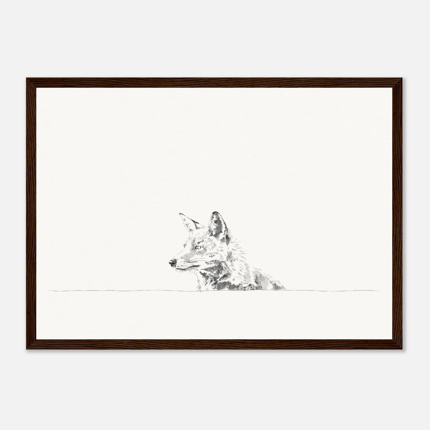 print of a black and white line drawing of a fox's torso looking to the left from behind a wall