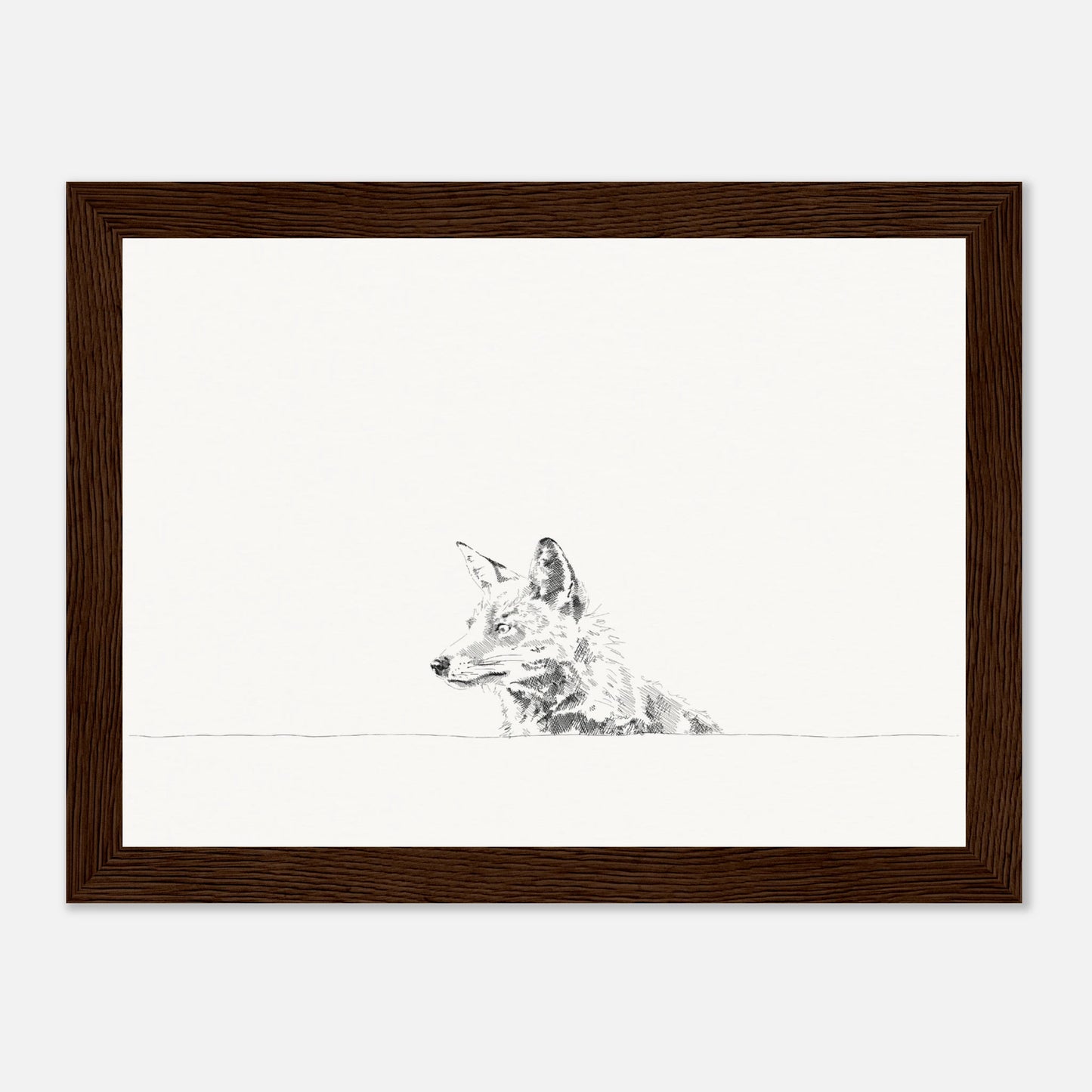 print of a black and white line drawing of a fox's torso looking to the left from behind a wall