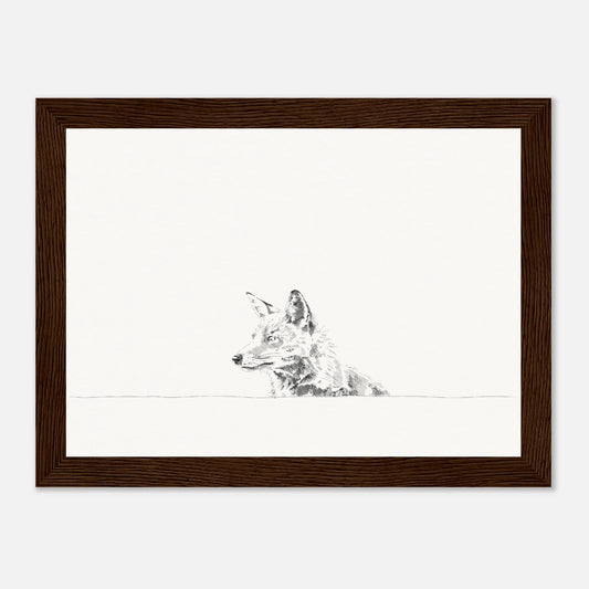 print of a black and white line drawing of a fox's torso looking to the left from behind a wall